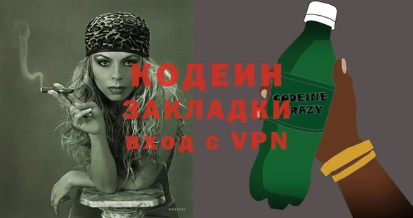 молекула духа Карпинск