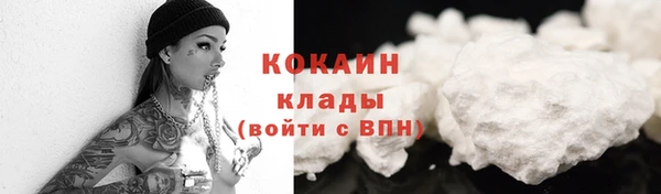 ГАЛЛЮЦИНОГЕННЫЕ ГРИБЫ Карталы