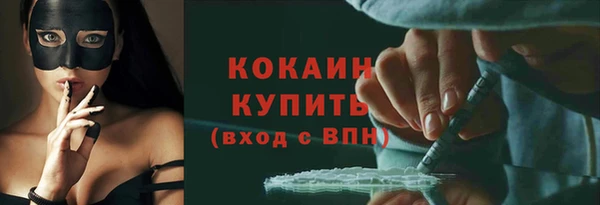 твердый Михайлов
