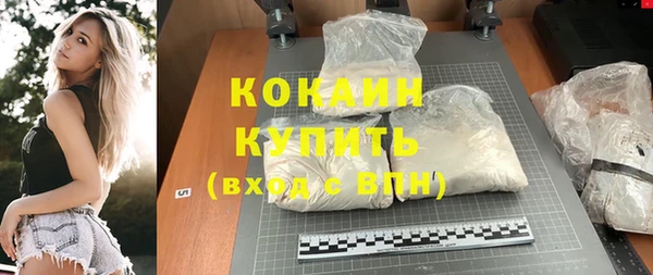 молекула духа Карпинск