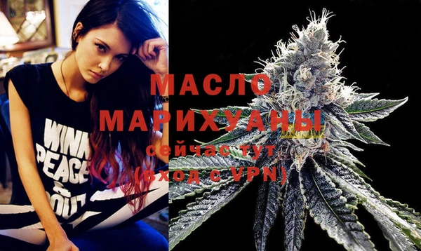 молекула духа Карпинск