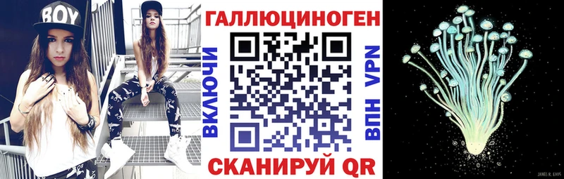 цены   Лаишево  Псилоцибиновые грибы Psilocybine cubensis 
